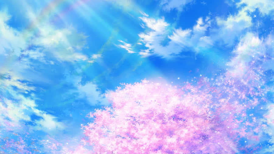 Spring Anime Cherry Blossom Sky Wallpaper