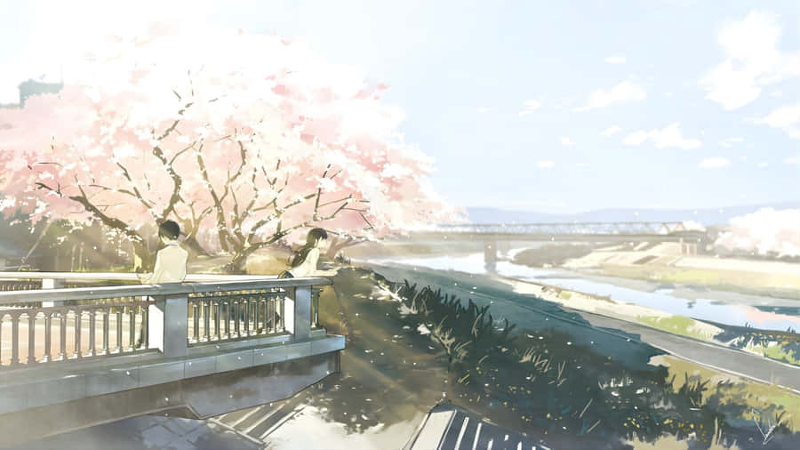 Spring Anime Cherry Blossoms Wallpaper
