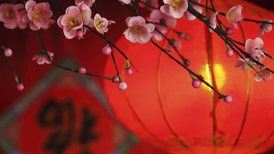 Spring Festival Cherry Blossoms Wallpaper
