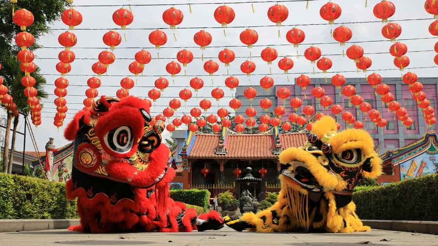 Spring Festival Lion Dance Wallpaper