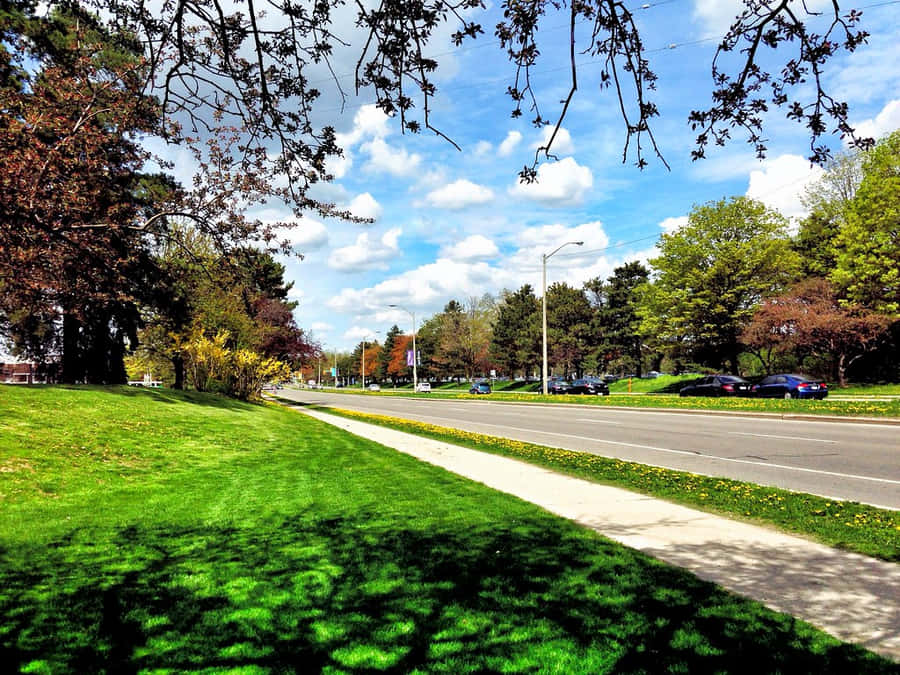 Springtimein Waterloo Canada Wallpaper