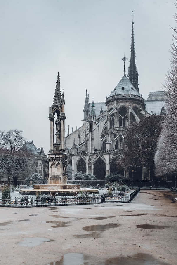 Square Jean Xxiii Behind Notre Dame Cathedral Wallpaper