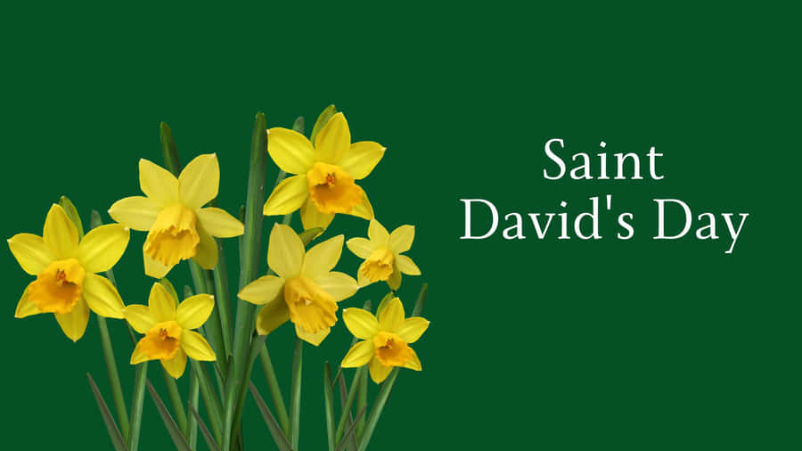 St David's Day Wallpaper