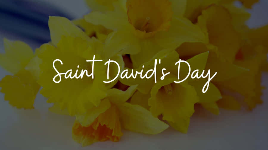 St David's Day Wallpaper