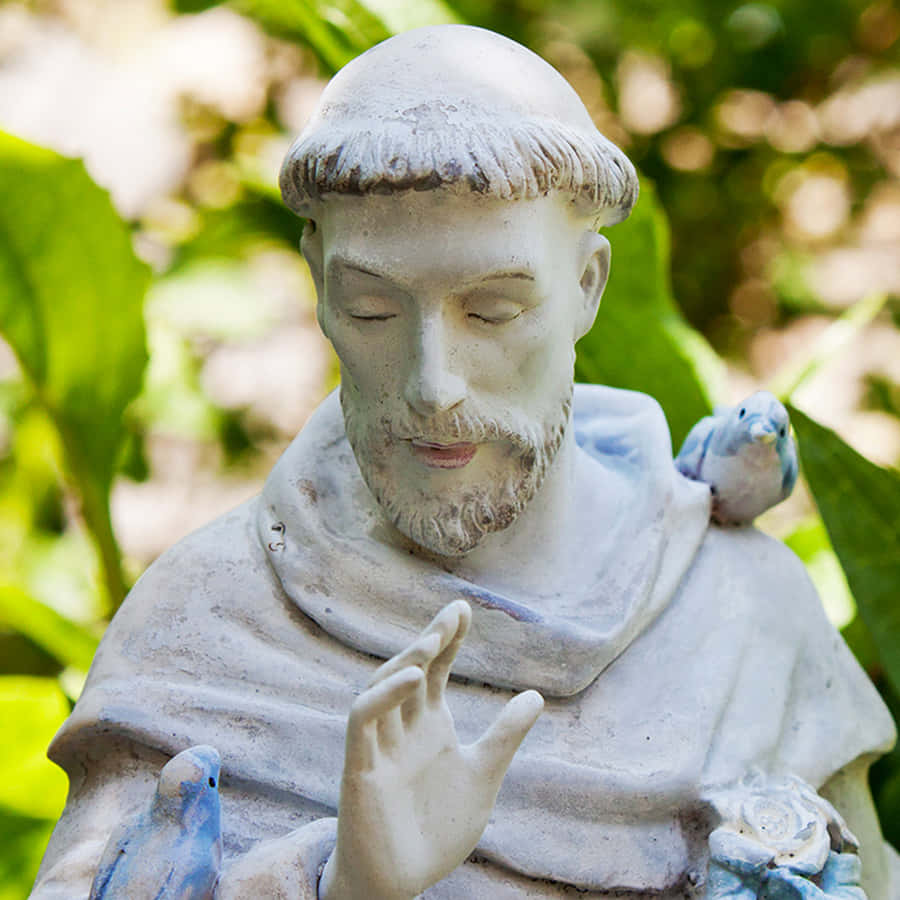 St Francis Statue With Birds Wallpaper