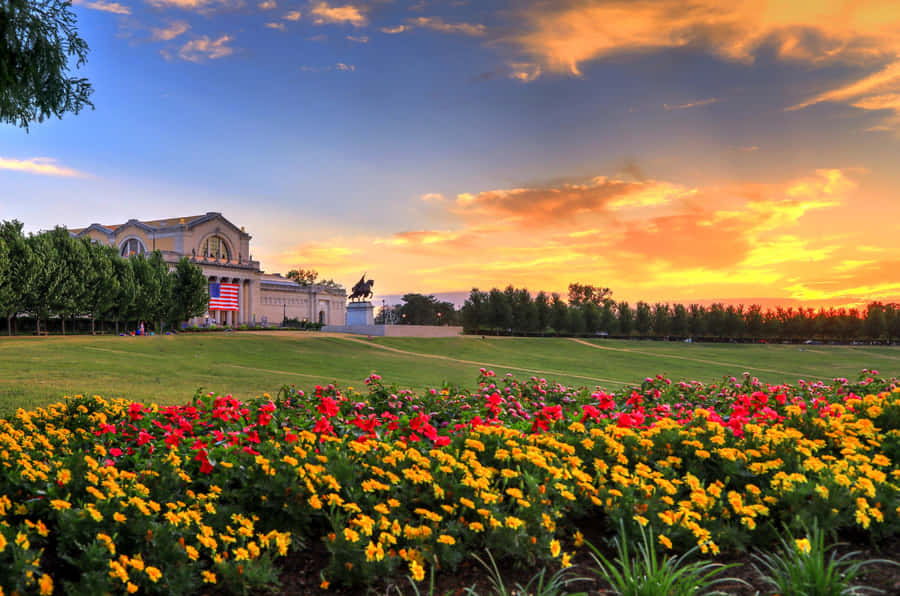 St Louis Art Hill Wallpaper