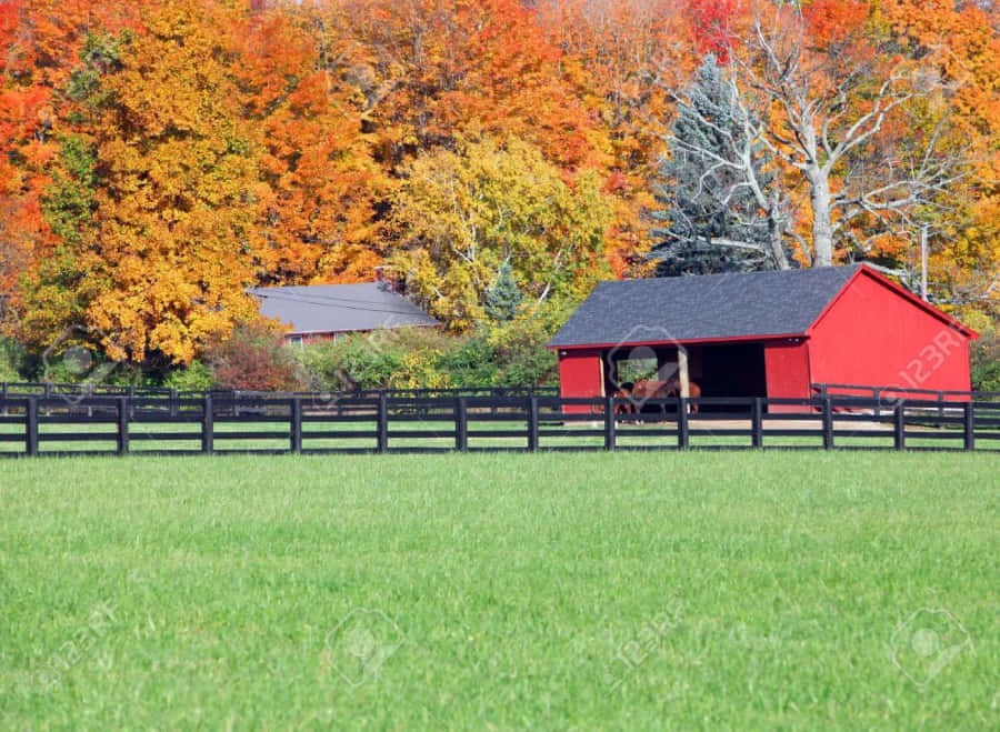 Stable In Ranch [wallpaper] Wallpaper
