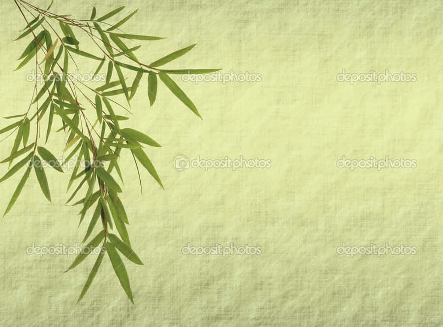 Standing Tall Against The Elements – A Chinese Bamboo Wallpaper
