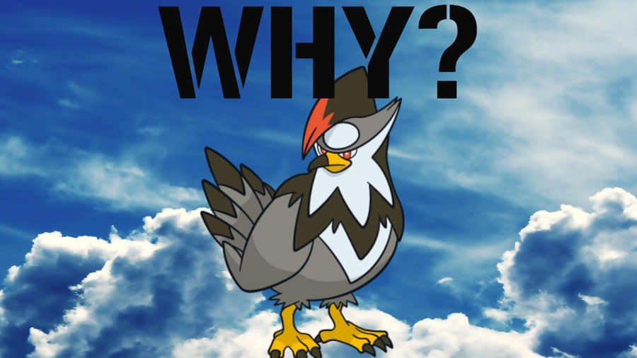 Staraptor Why Wallpaper