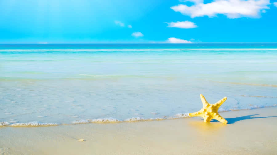 Starfish On Sunny Beach Wallpaper
