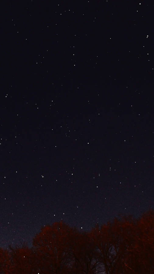 Stargazing In Nature Wallpaper