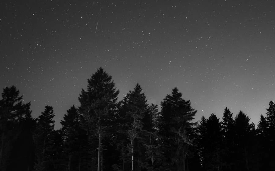 Starry Night In Grayscale Wallpaper