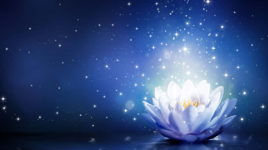 Starry Night Lotus Bloom Wallpaper