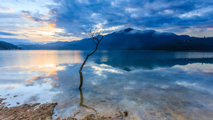 Start The Journey Of Inner Harmony. Wallpaper