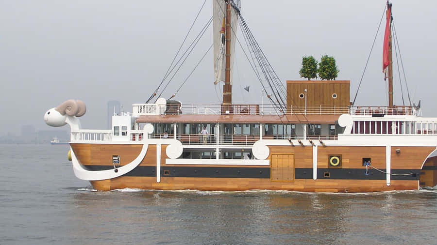 Start Your College Journey With Going Merry