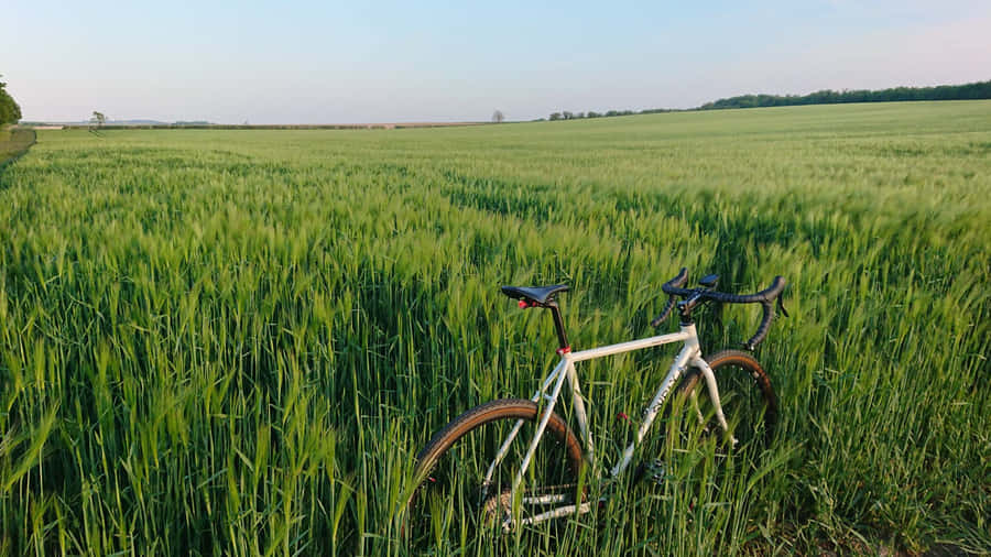 Steel Surly Midnight Special Wallpaper