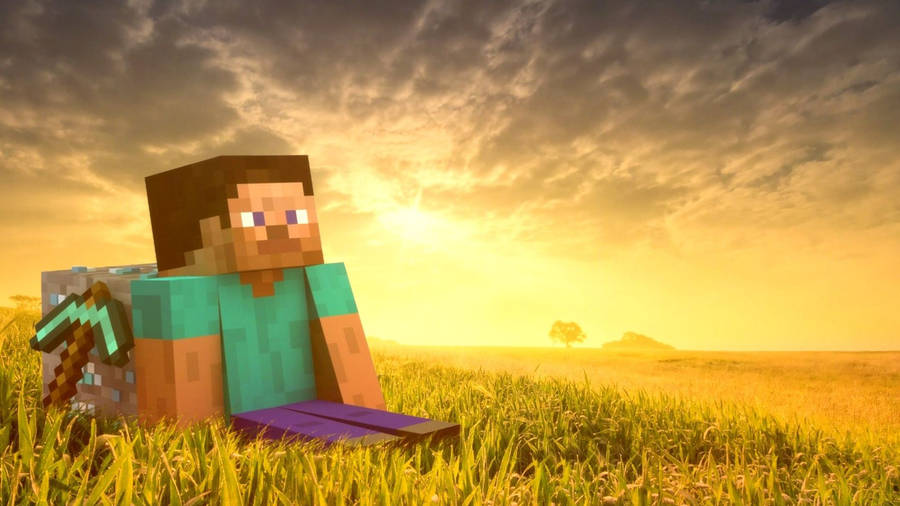 Steve On Grass And Diamond Minecraft Hd Wallpaper
