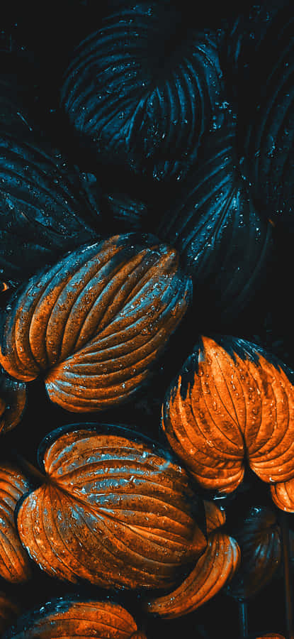 Still Autumn Leaves Wallpaper