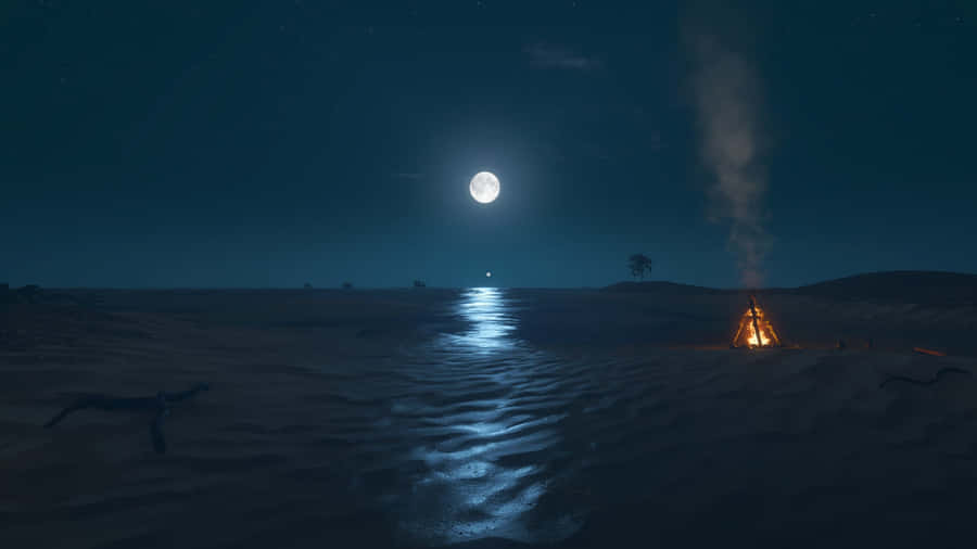 Stranded Deep In The Desert Wallpaper