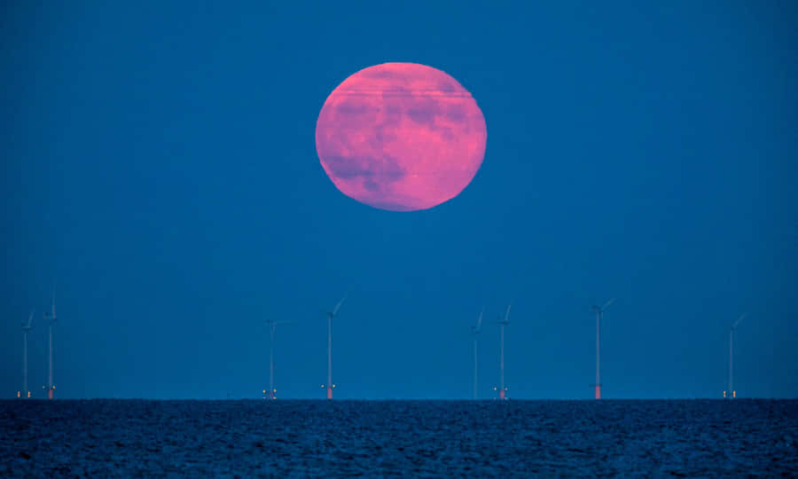 Strawberry Moon Over Wind Farm2019 Wallpaper