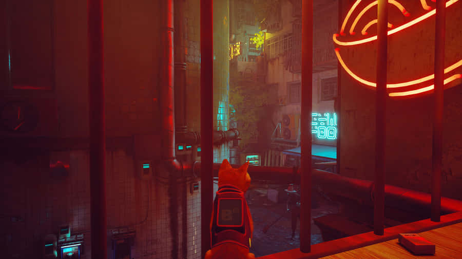 Stray Cat Contemplating Cybercity Wallpaper