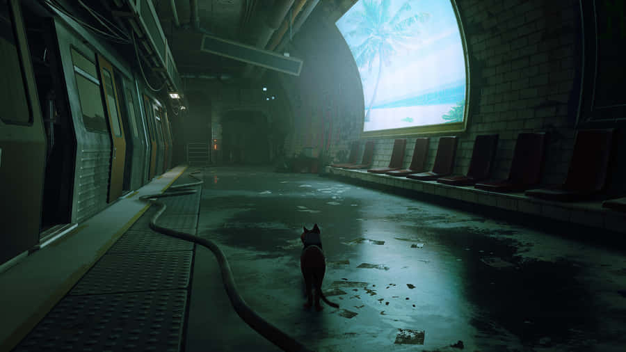 Stray Cat Exploring Abandoned Subway Station Wallpaper