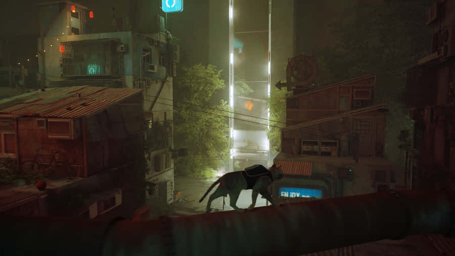 Stray_ Cat_in_ Dystopian_ Cityscape Wallpaper