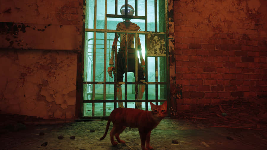 Stray Cat Meets Robot Guardian Wallpaper