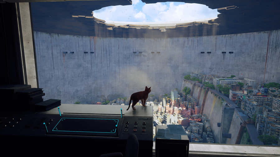 Stray_ Cat_ Overlooking_ Dystopian_ Cityscape Wallpaper