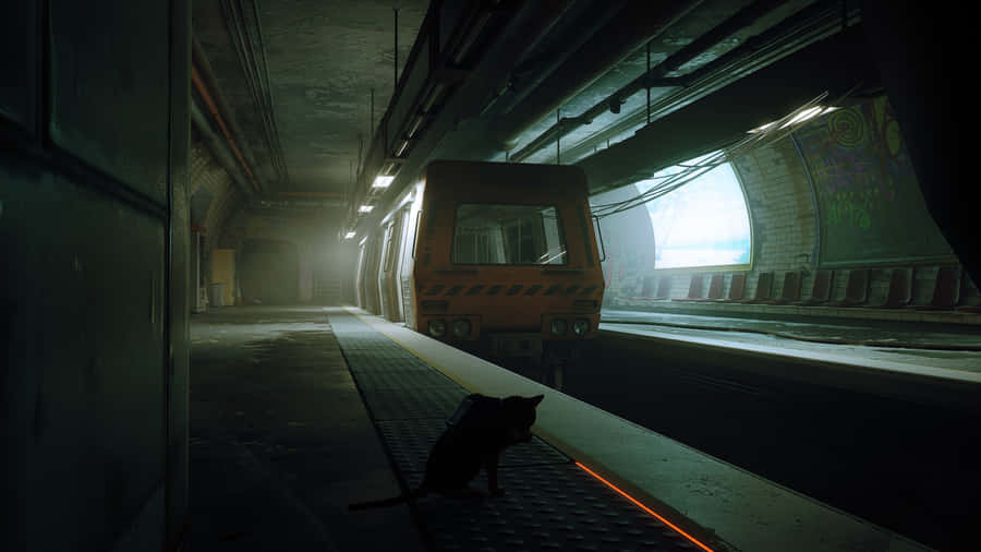 Stray Catin Subway Tunnel Wallpaper