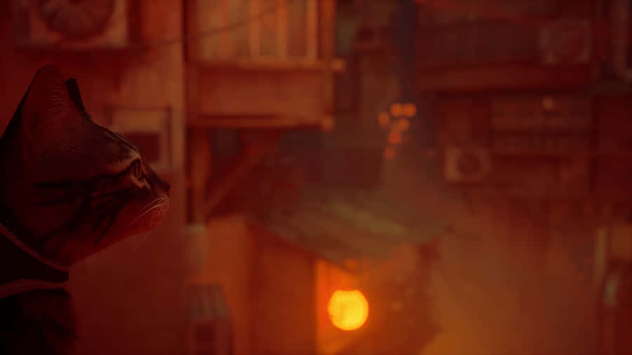 Stray Game Cat Contemplating Cityscape Wallpaper