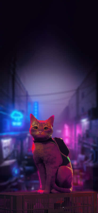 Stray Game Cyber Cat Adventure Wallpaper