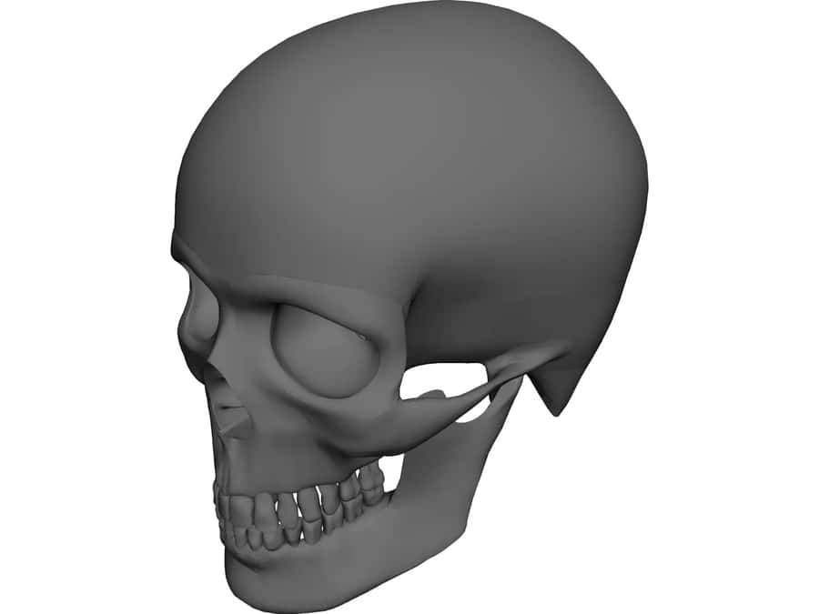 Striking 3d Skull Digital Art Wallpaper
