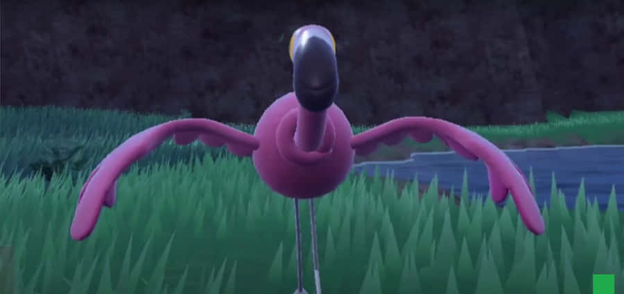 Striking Flamigo Front View Wallpaper