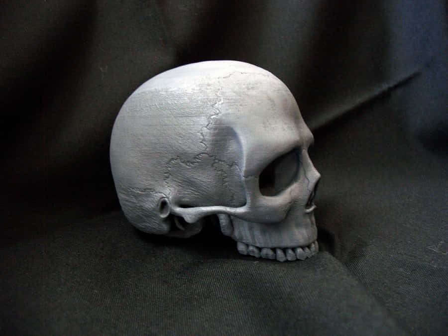 Stunning 3d Skull Artwork Wallpaper