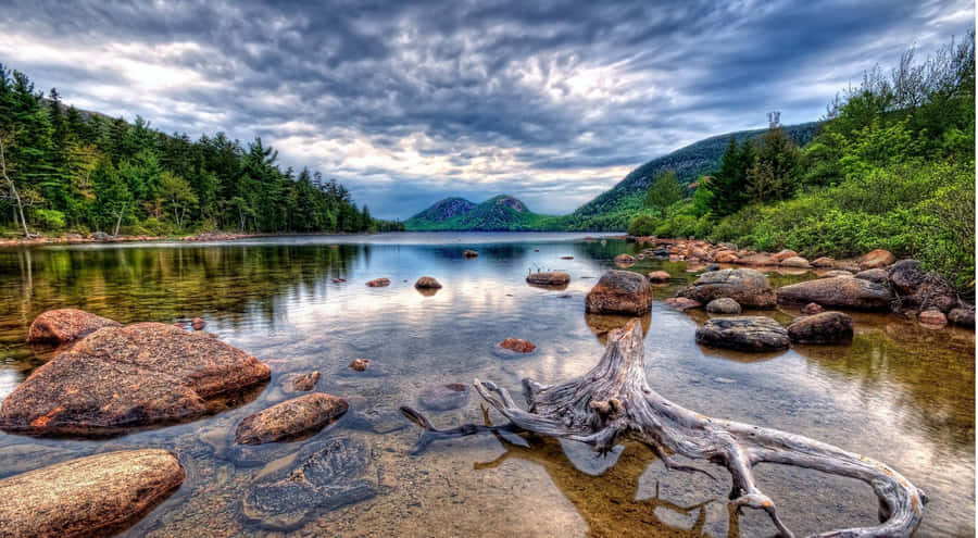 Stunning 4k Hdr Forest Landscape Wallpaper