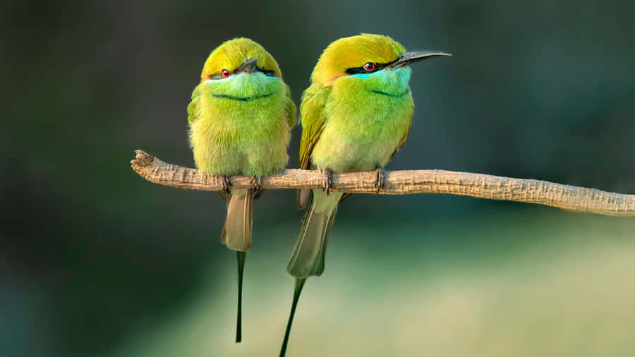 Stunning Aerial View Of Downtown Metropolis Wallpaper