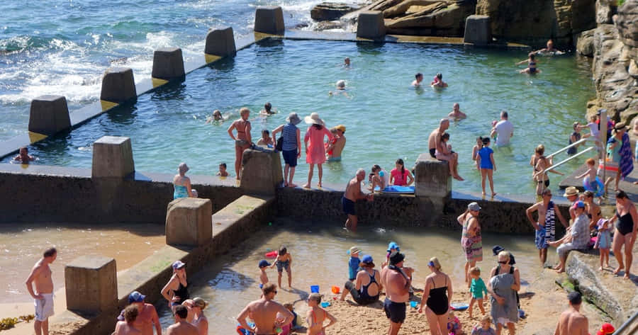 Stunning Beach Swimming Pool Overlooking The Ocean Wallpaper