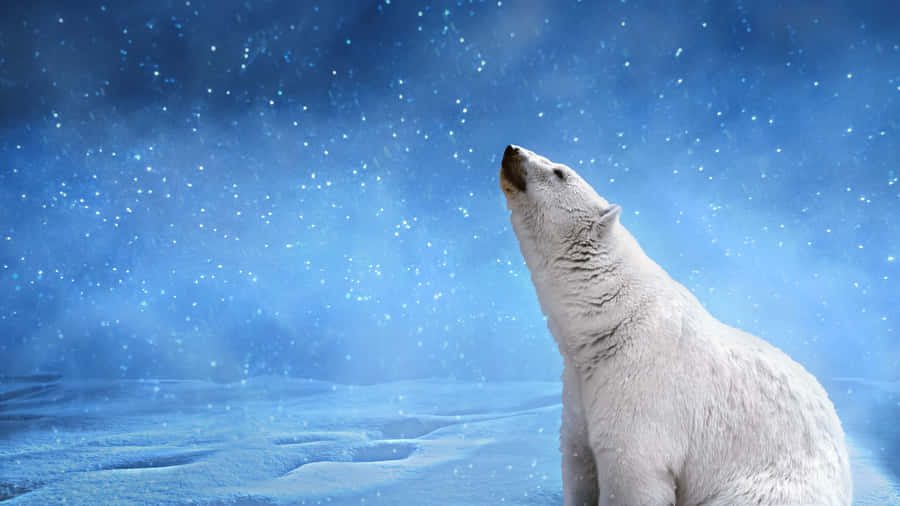 Stunning Beach View Wallpaper