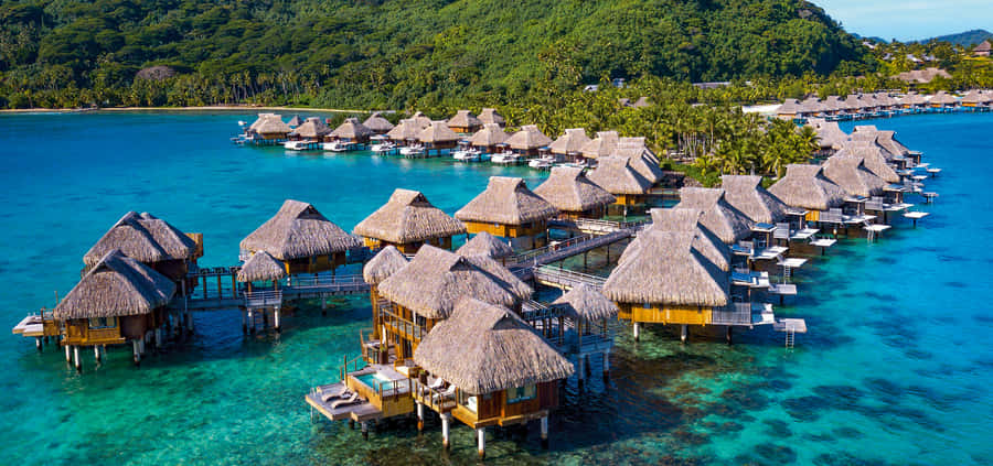 Stunning Bora Bora Beach Paradise Wallpaper