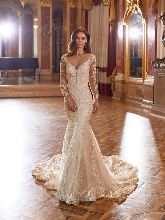 Stunning Bride In Her Perfect Dress Wallpaper