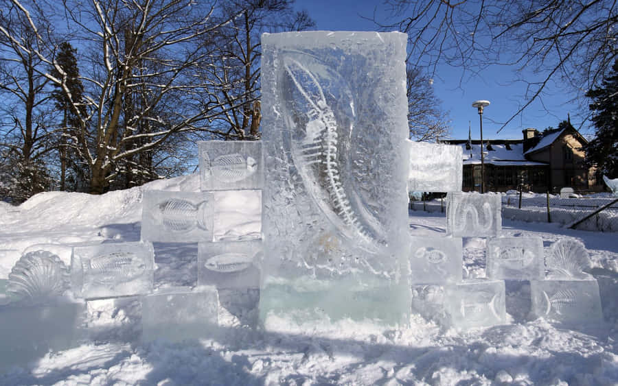 Stunning Ice Sculpture Reveals The Artistry Of Frozen Water Wallpaper
