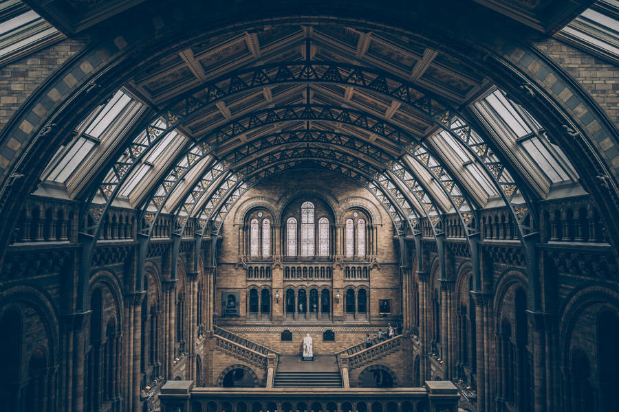 Stunning Natural History Museum Architecture Wallpaper