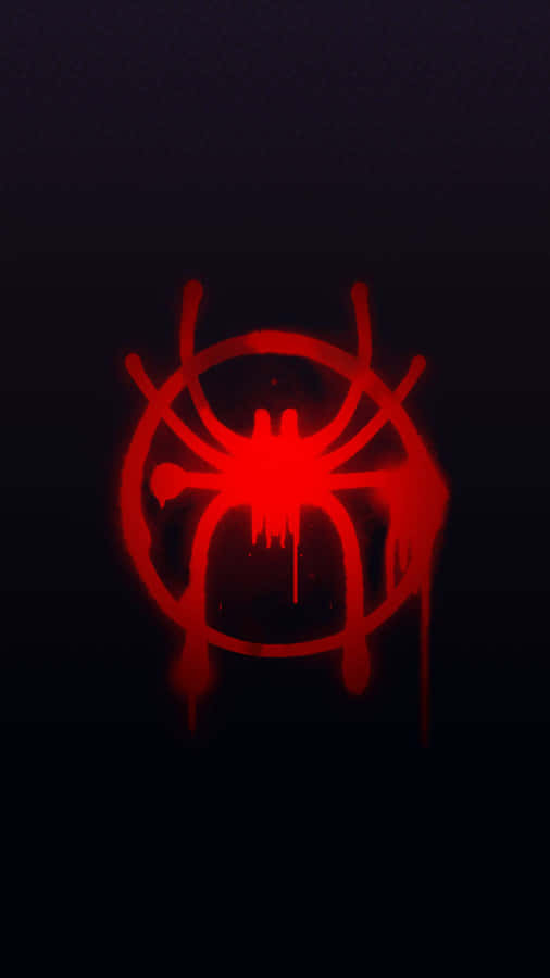 Stunning Red Spider Close-up Wallpaper