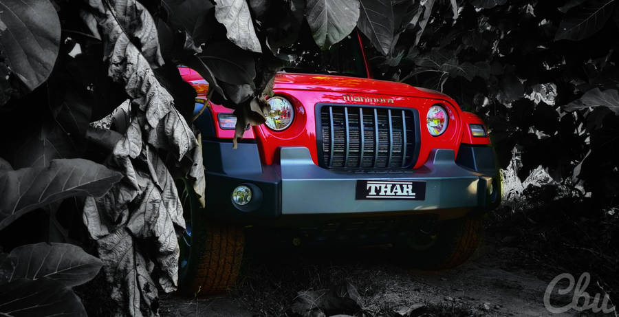 Stunning Red Thar Against A Backdrop Of Dark Trees Wallpaper