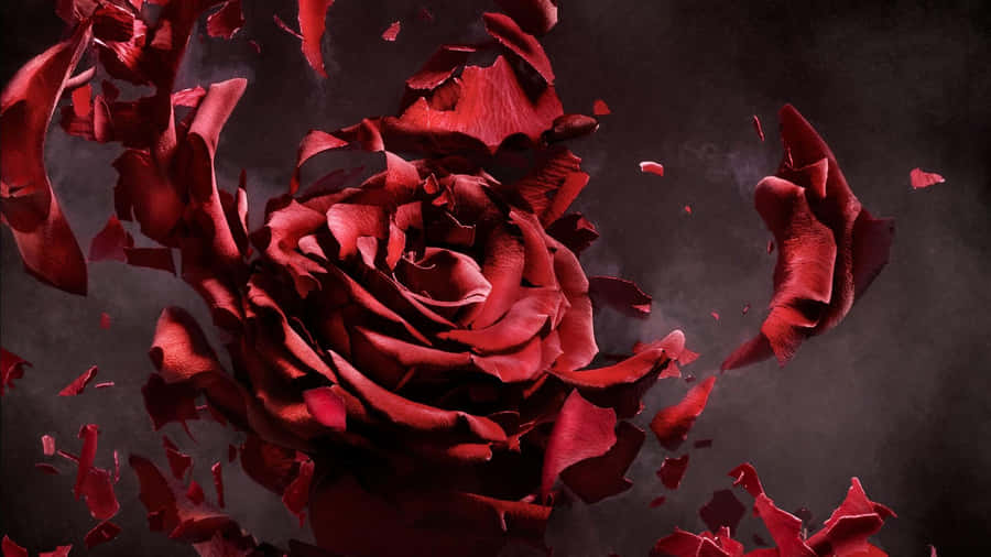 Stunning Rose Art Wallpaper Wallpaper
