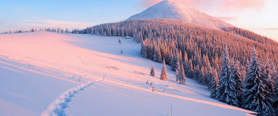 Stunning Scenic View On 4k Pc Monitor Wallpaper