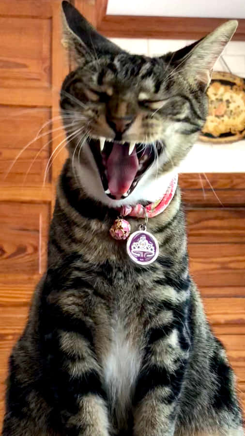 Stunning Sokoke Scenery Wallpaper