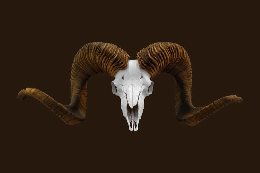 Stunning Sunrise Over The Mountain Wallpaper