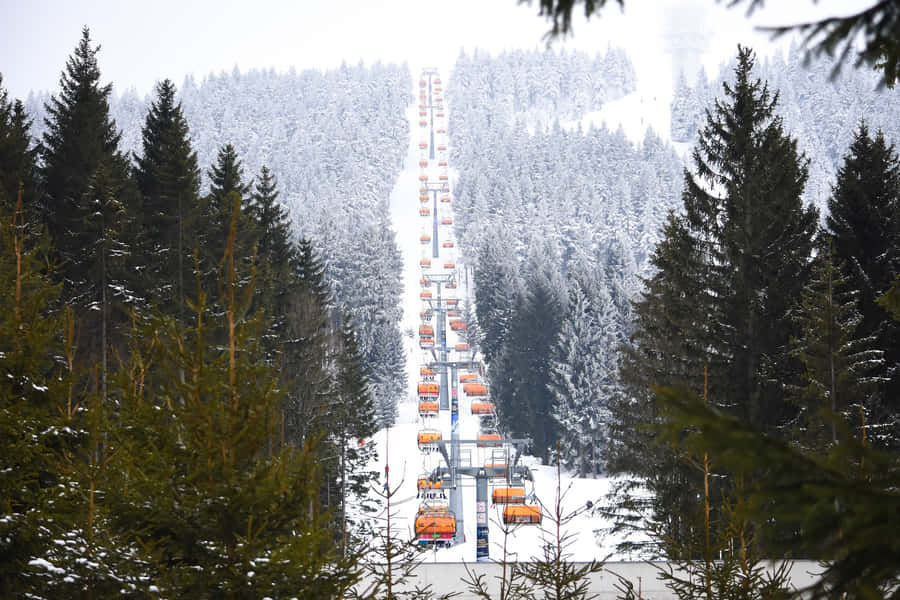 Stunning View Of Snowy Ski Resort Wallpaper